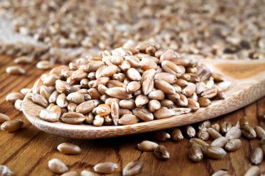 Tahta kaşıkta buğday taneleri