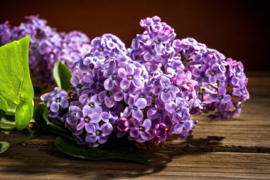 Ahşap masada leylak çiçekleri