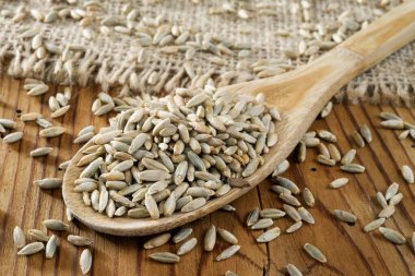 Tahta kaşıkta çavdar taneleri