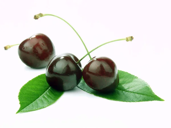 Sweet Cherries Stem Leaves White Background — Stock Photo, Image