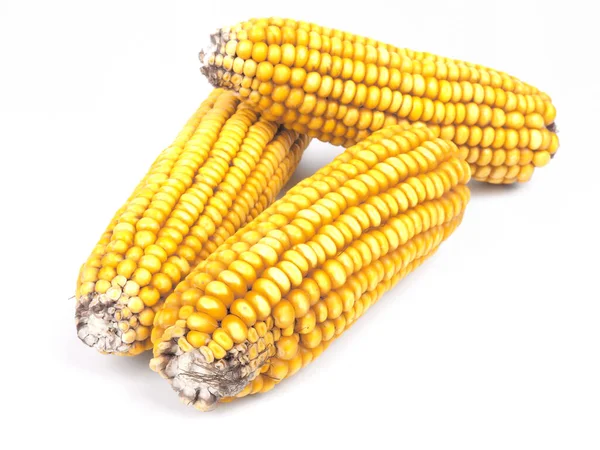 Sweet Corns Cobs Isolated White Background — Stock Photo, Image