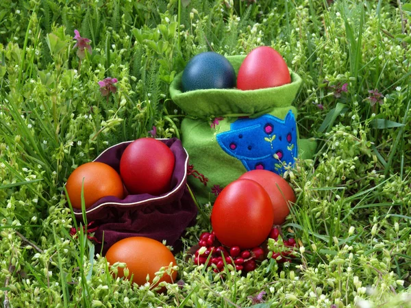 Yeşil Çimlerin Üzerinde Renkli Paskalya Yumurtaları — Stok fotoğraf