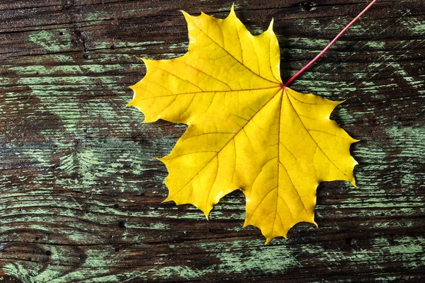 Autumn Yellow Leaf Wooden Background — Stock Photo, Image