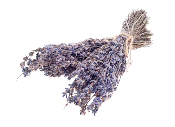 Dry Lavender Bunch Isolated White Background — Stock Photo, Image