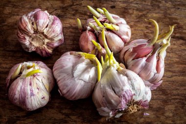 Tahta masada sarımsak.