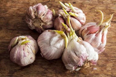 Tahta masada sarımsak.