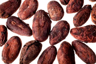 Beyaz arka planda izole edilmiş kakao çekirdekleri