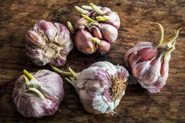 Tahta masada sarımsak.