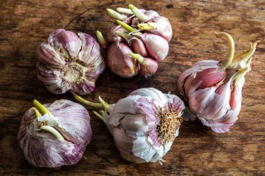 Tahta masada sarımsak.