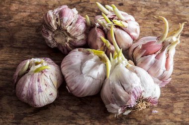 Tahta masada sarımsak.