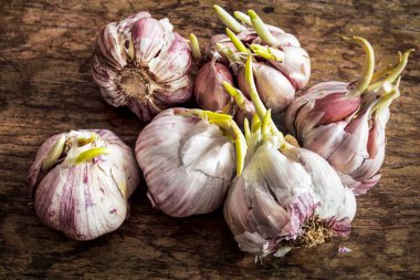 Tahta masada sarımsak.