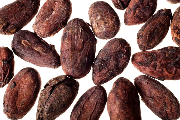 Fèves Cacao Isolées Sur Fond Blanc Photo De Stock