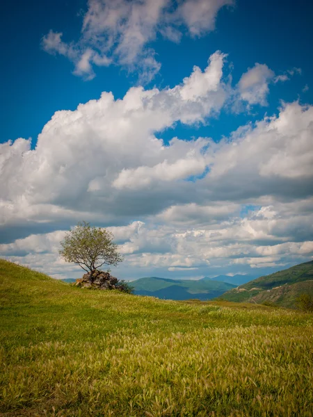 Με θέα στο βουνό του Καυκάσου — Φωτογραφία Αρχείου