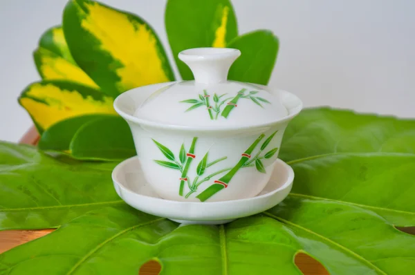 Chinese tea in cup — Stock Photo, Image