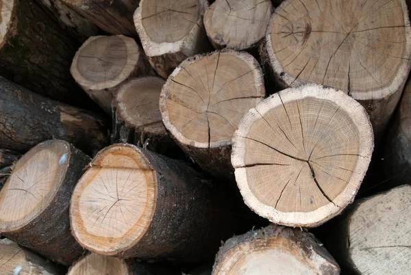 A firewood laid — Stock Photo, Image