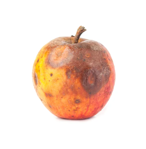 Ett ruttet äpple — Stockfoto