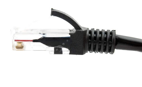 En lan-kabel — Stockfoto