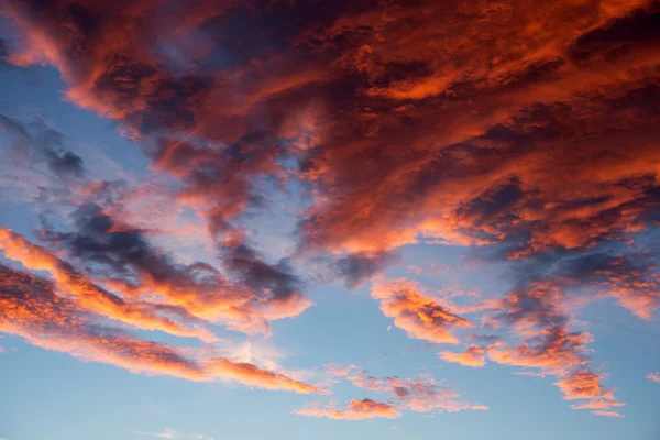 Een zonsopgang hemel — Stockfoto