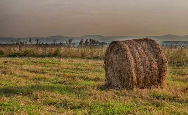 Dry hay bale — Stock Photo, Image