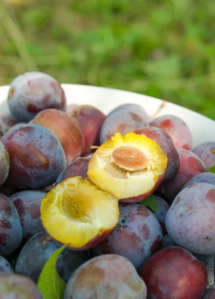 A plums in bowl — Stock Photo, Image