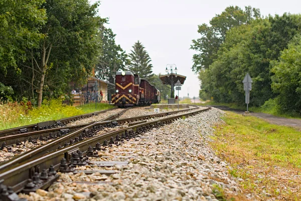 Niechorze Pologne Juin 2020 Ancien Train Diesel Voie Étroite Départ — Photo