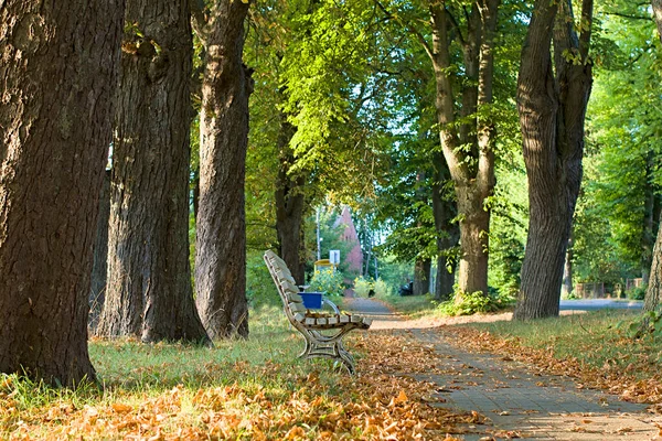 Beautiful Autumn Park Beautiful Fall Landscape Park Bench — Stock Photo, Image