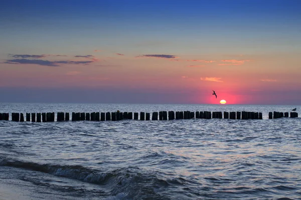 Coasta Mării Baltice Apus Close — Fotografie, imagine de stoc