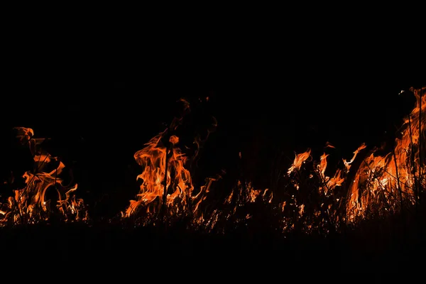 Burning Dry Field Night Time — Stock Photo, Image