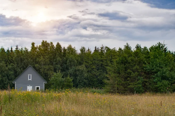 森林環境の近代的な家 木製の休暇の家 — ストック写真