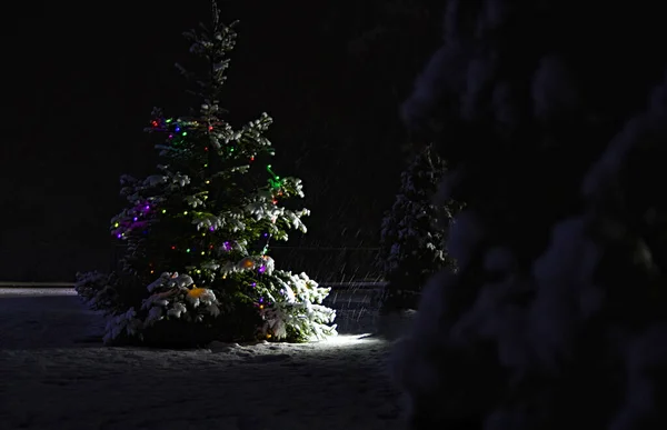 Neve Coberto Árvore Natal Livre Com Luzes Multicoloridas — Fotografia de Stock