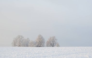 Kar Tarlası ve Günbatımıyla Kış Manzarası. 