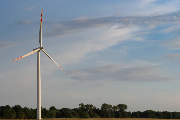 Turbina Wiatrowa Polu Pszenicy Latem Błękitnym Niebem — Zdjęcie stockowe