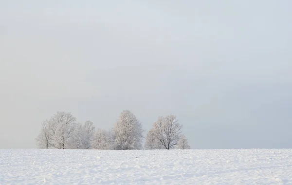Zimowy Krajobraz Śnieżnym Polem Zachodem Słońca — Zdjęcie stockowe