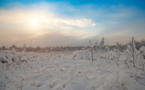 Paisagem Inverno Com Campo Nevado Pôr Sol — Fotografia de Stock
