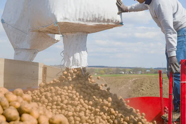 Jordbrukare Som Planterar Potatis Bakom Traktor — Stockfoto
