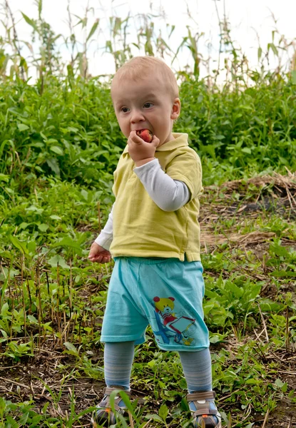 少年の食用リンゴ — ストック写真