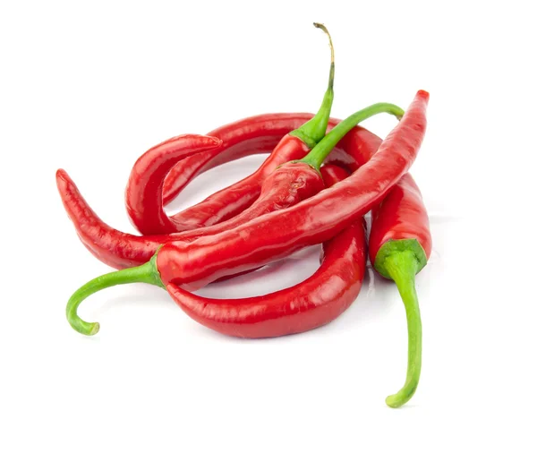 Chilli papričky — Stock fotografie