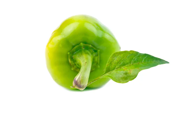 Green sweet pepper — Stock Photo, Image