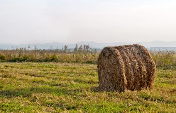 Dry hay bale — Stock Photo, Image