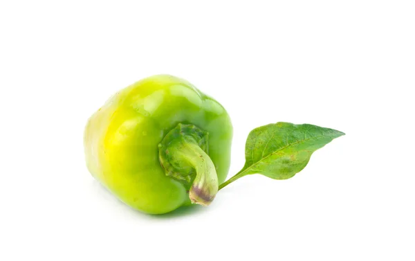 Green sweet pepper — Stock Photo, Image