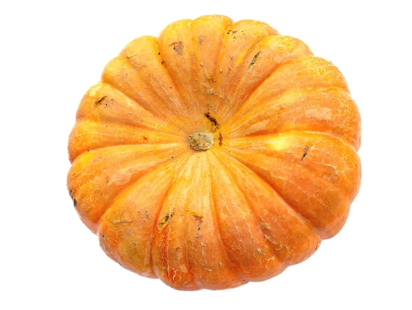 Pumpkin — Stock Photo, Image