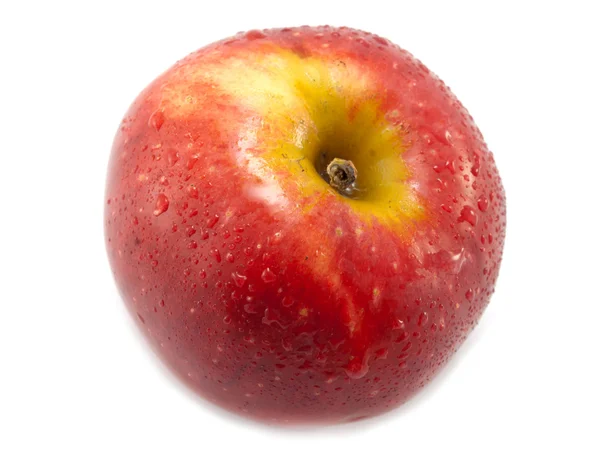Manzana roja aislada — Foto de Stock