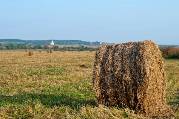 Dry hay — Stock Photo, Image