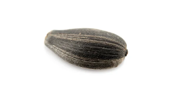 Sunflower seed — Stock Photo, Image