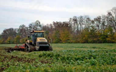 Traktör yetiştirilmesi