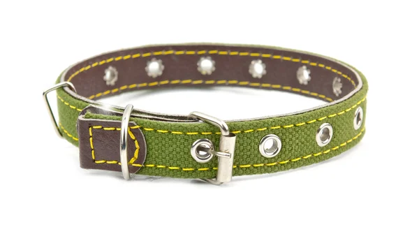 Collar de perro — Foto de Stock