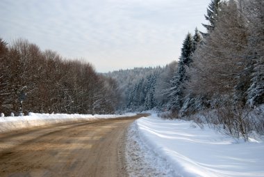Forest Road