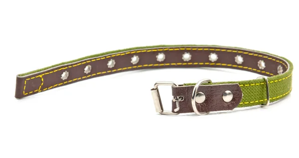 Dog collar — Stock Photo, Image