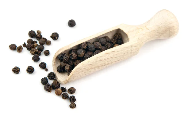 Black pepper isolated — Stock Photo, Image