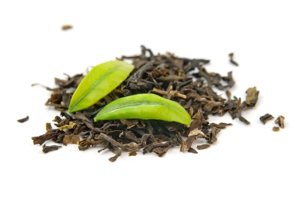 Té verde y hojas — Foto de Stock